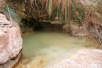 IMG_8479.JPG Photo
