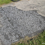 DSCN7542.JPG