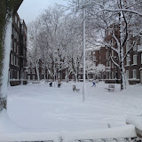 DSC00317.JPG