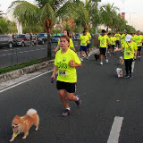 Pet Express Doggie Run 2012 Philippines. Jpg (78).JPG