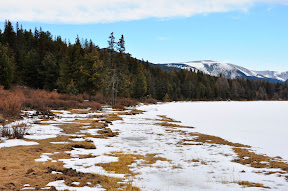 _DSC4908.JPG