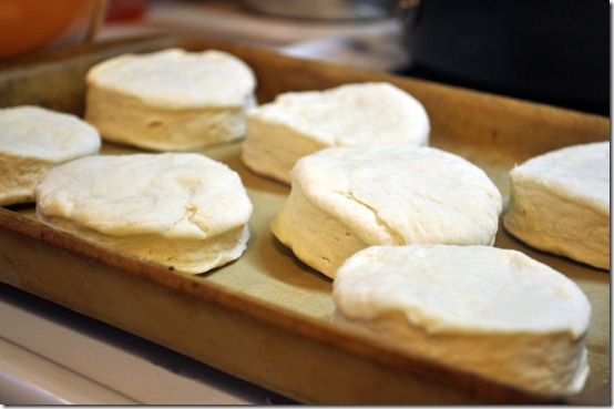 raw biscuits