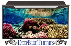 aquarium-skin-reef-colors-uhd