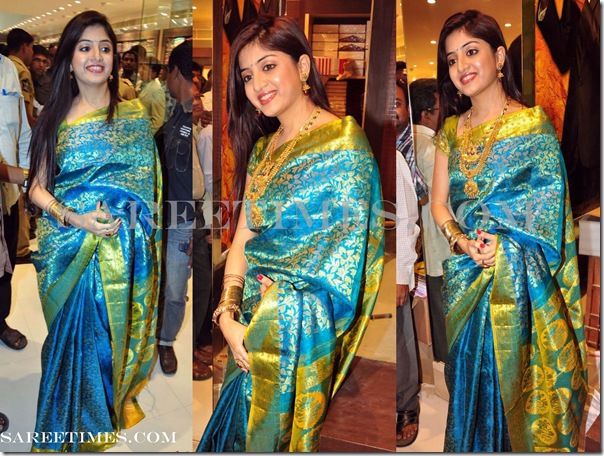 Poonam_Kaur_Traditional_Silk_Saree
