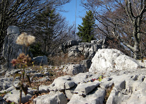 DSCN0572_resize.jpg