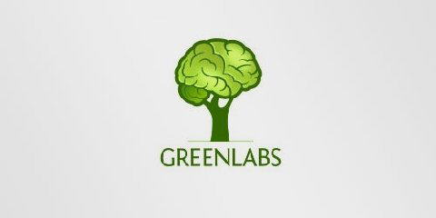 Image Dimension: 480x240 :: Top Compnay Logos and there meaning Top Compnay Logos and there meaning