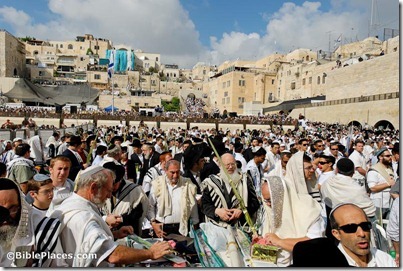 Men praying at Western Wall during Sukkot, tb100906912