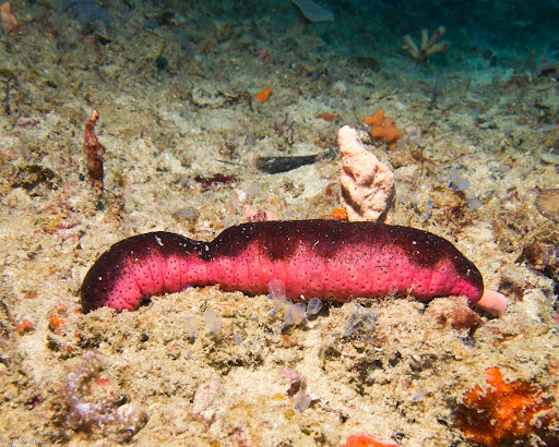 P7034438