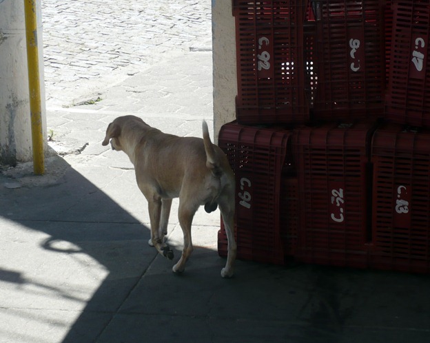 Fototiras #08.