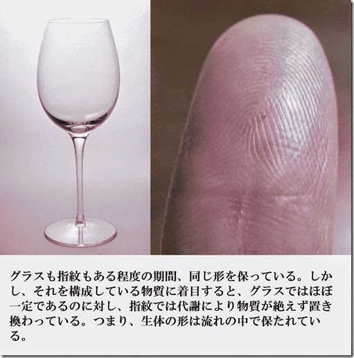 glass-finger glass-finger