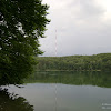 dsc04220.jpg