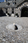 7- Oh, hi, Sharkey!  You probably wouldn't know this, but this round stone is called a millstone.  It was once used along with its pair to grind grains.  This one is now here for purely decorative reasons.