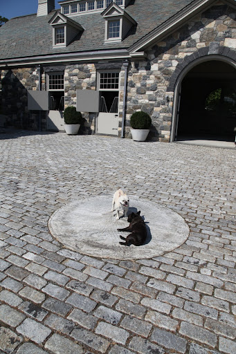 7- Oh, hi, Sharkey!  You probably wouldn't know this, but this round stone is called a millstone.  It was once used along with its pair to grind grains.  This one is now here for purely decorative reasons.
