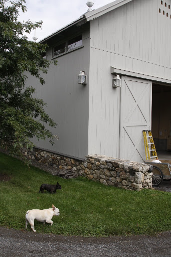 Hey Franny, maybe Martha put those fancy tools in the equipment barn.  Let's go find them and build something.