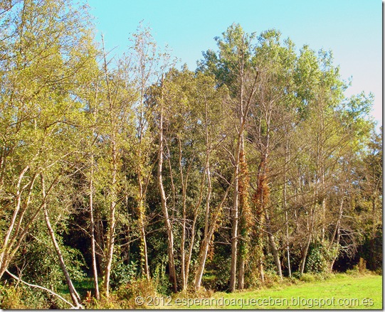 DSC02890 DSC02890