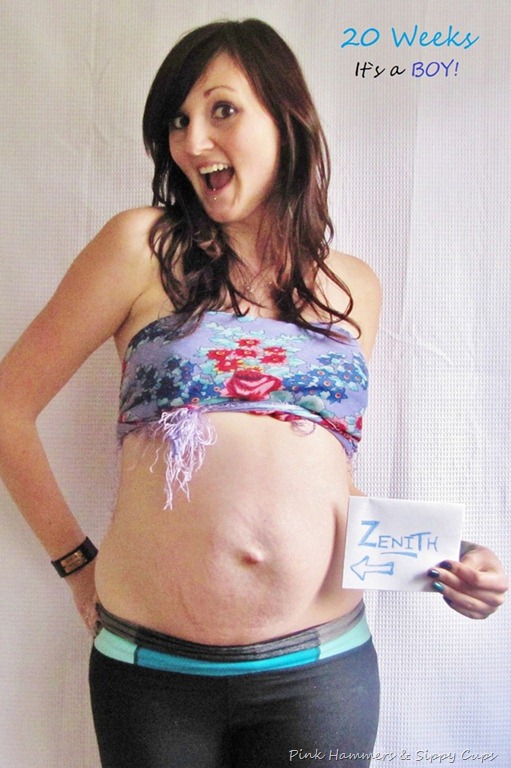 [1-20-weeks-front1%255B8%255D.jpg]