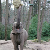 2011-02-20 Burgers' Zoo