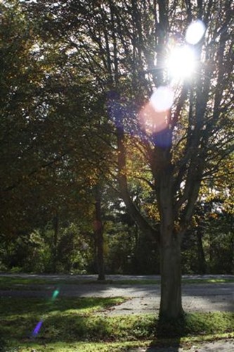 20081009a (Small) 20081009a (Small)