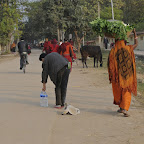 DSC_7924.jpg