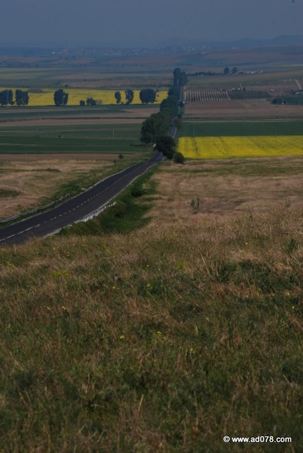 152.jpg