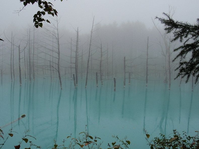 blue-pond-8 blue-pond-8