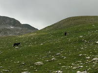 IMG_1329.JPG