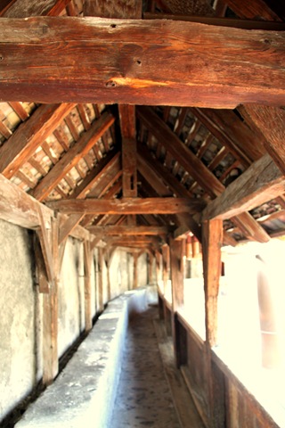 [IMG_13803.jpg]