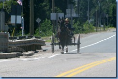 7727 Ontario Trans-Canada Hwy 17 - Amish buggy