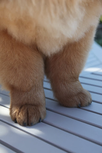 And check out my toes!
