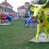 Europe Trip - Cows - cow1.JPG