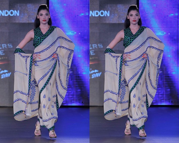 [Reynu_Tandon_Saree%255B3%255D.jpg]