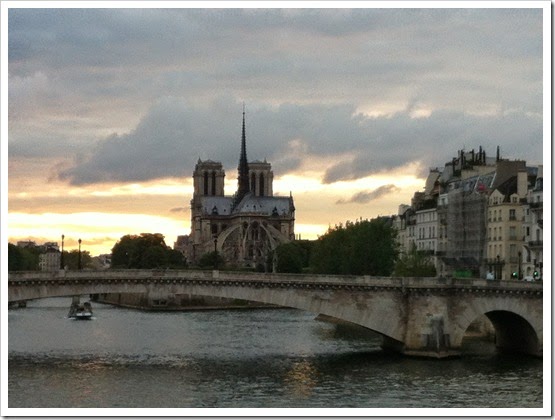 Cathédrale Notre Dame de Paris 23