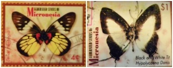 [Butterfly-Stamps4.jpg]