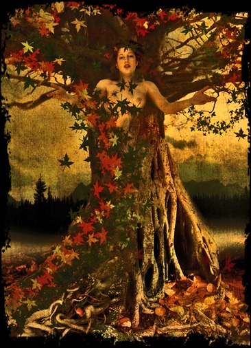 arboles