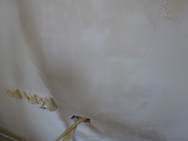 P1000236.JPG