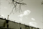 31-w.jpg