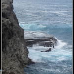 IMG_8864.JPG