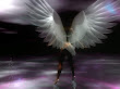 Innocent Angel Of Nature