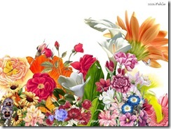 flower-wallpaper-background