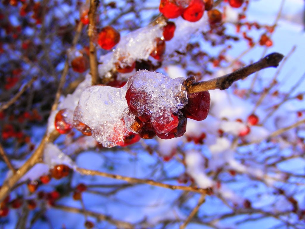 [DSCF8687%255B4%255D.jpg]