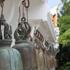 IMG_8557.JPG