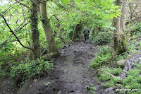 IMG_7995.JPG Photo