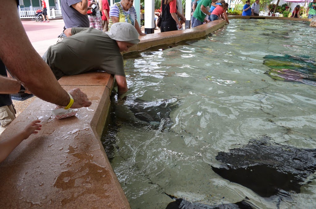 [DSC_8991%255B3%255D.jpg]