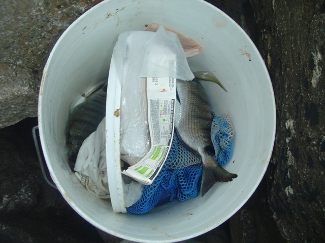 [DSC02064%255B3%255D.jpg]