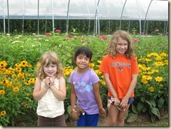 IMG_2246 IMG_2246