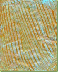 7.Lidl metallic orange and gloss AGL swirled with cotton bud on gelli plate showing residual marks from a previous print. Metallic gold bands printed on top. Blue paper 7.Lidl metallic orange and gloss AGL swirled with cotton bud on gelli plate showing residual marks from a previous print. Metallic gold bands printed on top. Blue paper