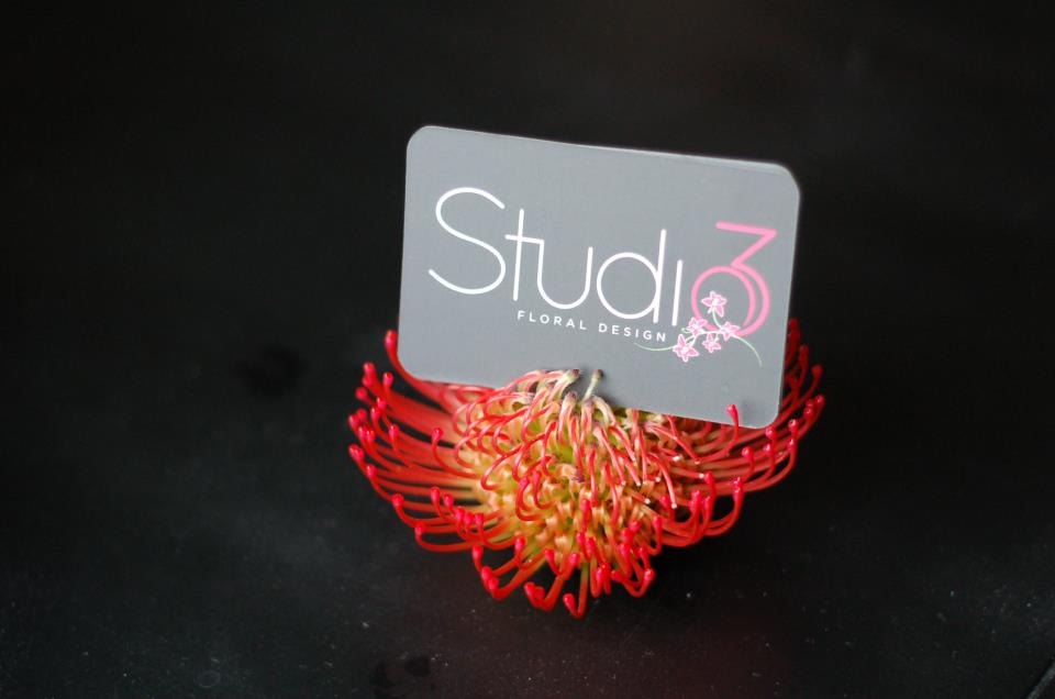 [card-holder-studio-3-floral-design-b%255B1%255D.jpg]