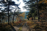 P1090654.JPG