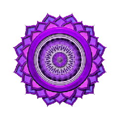7-L 7-L
