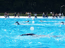 P7050993.JPG
